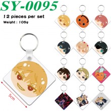 SY-0095