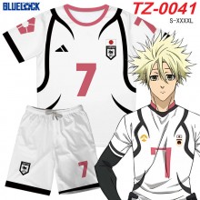 TZ-0041