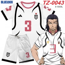 TZ-0043
