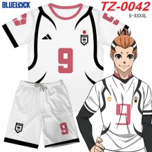 TZ-0042