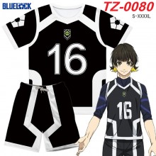 TZ-0080