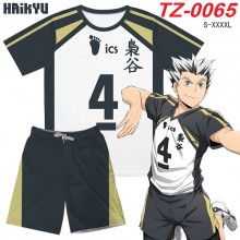 TZ-0065