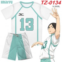 TZ-0134