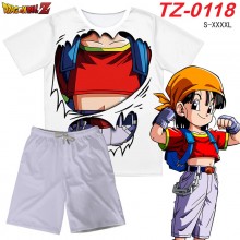 TZ-0118