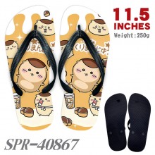 SPR-40867