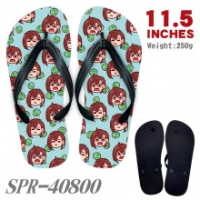 SPR-40800
