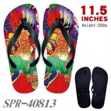 SPR-40813