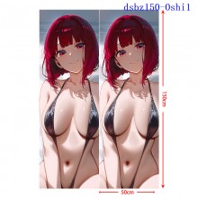 dsbz150-Oshi1