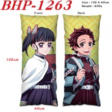 BHP-1263