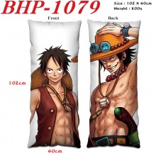 BHP-1079