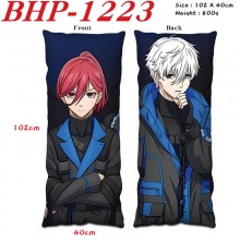 BHP-1223