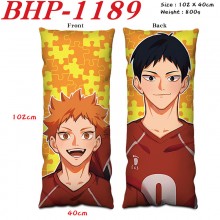 BHP-1189
