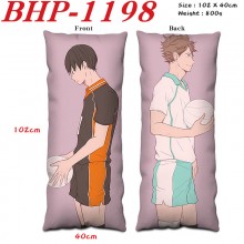 BHP-1198