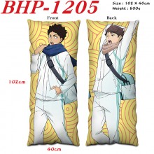 BHP-1205