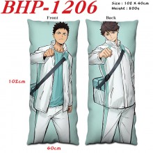 BHP-1206