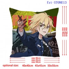 fzt-STONE13