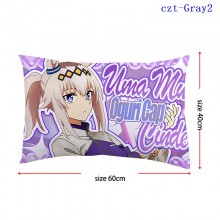 czt-Gray2
