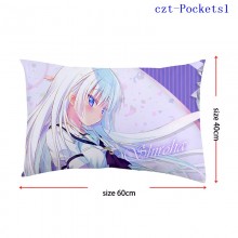 czt-Pockets1