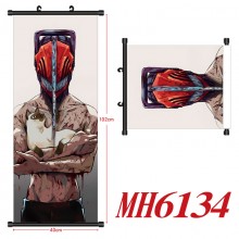 MH6134