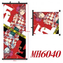 MH6040