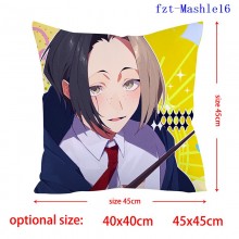 fzt-Mashle16