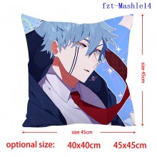 fzt-Mashle14