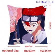 fzt-Mashle18