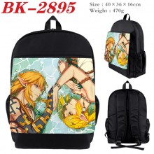 BK-2895