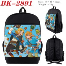 BK-2891