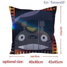 fzt-Totoro57