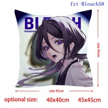 fzt-Bleach58