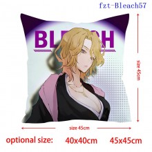 fzt-Bleach57