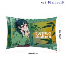 czt-Diaries19