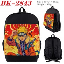 BK-2843