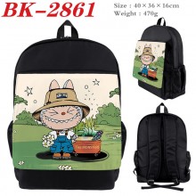 BK-2861