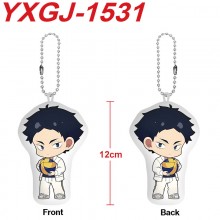 YXGJ-1531
