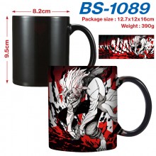 BS-1089