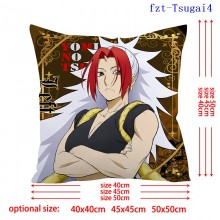 fzt-Tsugai4