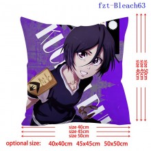 fzt-Bleach63