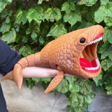 F 49cm